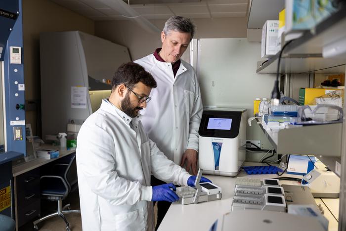 Dr. Chander Negi prepares samples using the PhysioMimix LC12 liver-on-a-chip system as Dr. Ivan Rusyn looks on in their Texas A&M research laboratory.