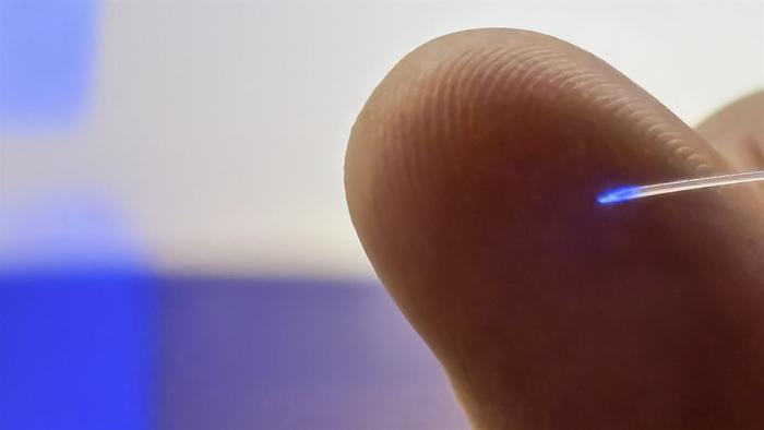 The fiber in the brain implant is less than half a millimeter thick and is so flexible that it moves with the brain instead of cutting through the tissue.