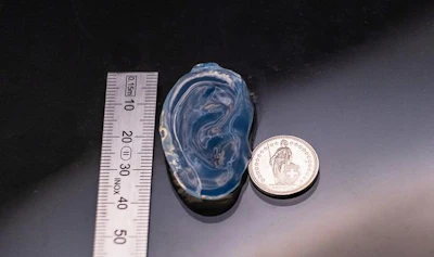Human ear model printed in a gelatin-based resin using holographic VAM.