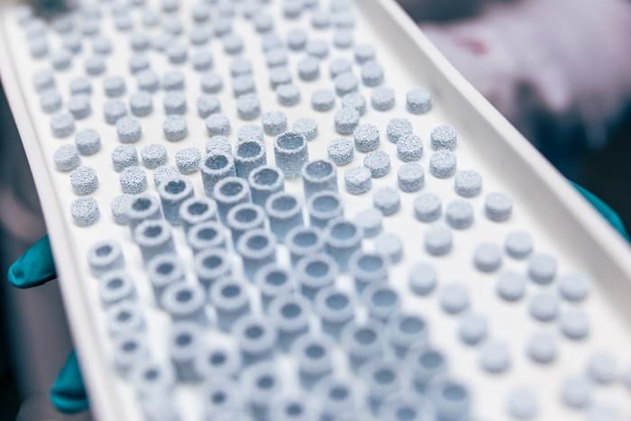 3D-printed scaffolds that mimic the chemical composition and architecture of natural bone tissue.