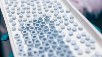 3D-printed scaffolds that mimic the chemical composition and architecture of natural bone tissue.