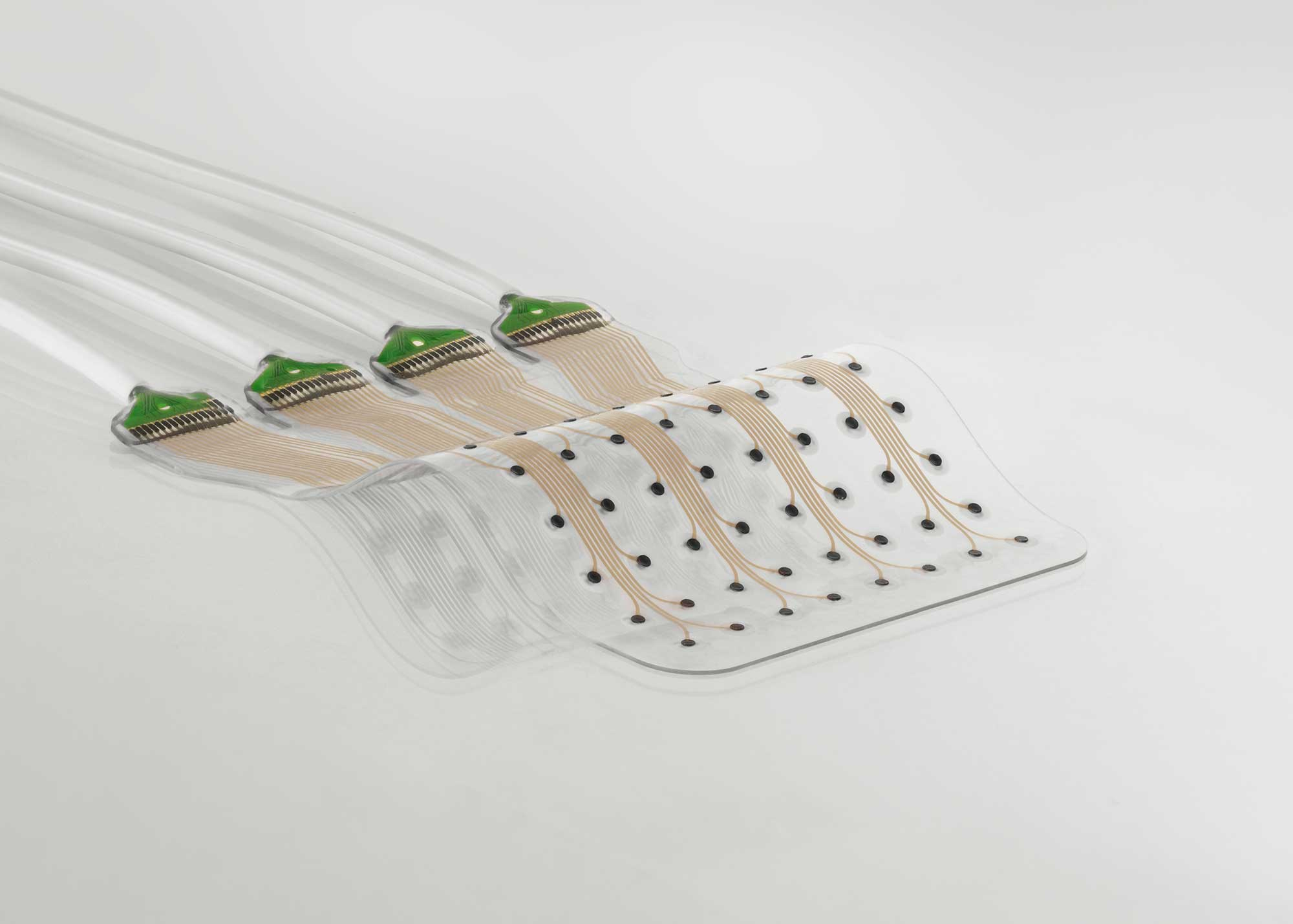 Neurosoft Brain Interface 2 Ccby Jimmy Ravier