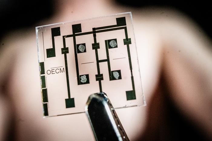 Researchers at LiU have used organic electronics based on conductive plastics to artificially mimicking the ion signalling of heart muscle cells.