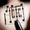 Researchers at LiU have used organic electronics based on conductive plastics to artificially mimicking the ion signalling of heart muscle cells.