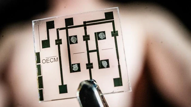Researchers at LiU have used organic electronics based on conductive plastics to artificially mimicking the ion signalling of heart muscle cells.