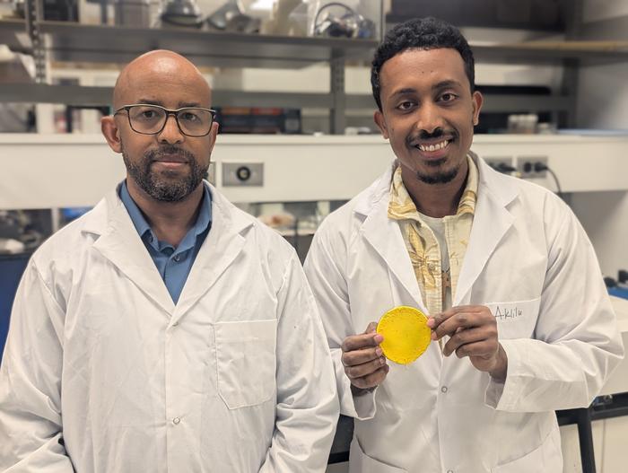 Professor Tizazu Mekonnen (left) and PhD student Aklilu G. Messele holding the flexible polymer material developed to replace the lead in heavy X-ray aprons.
