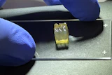 Auxilium Biotechnologies successful bioprinted kidney and liver tissues aboard the International Space Station (ISS), marking the first time either tissue type has been manufactured in space.