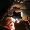 Fih Intraop