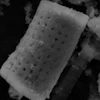 Cylindrical microparticles with a catalytic coating release tiny oxygen bubbles that coalesce and burst to disrupt stubborn biofilms on contaminated surgical instruments and infected wounds.