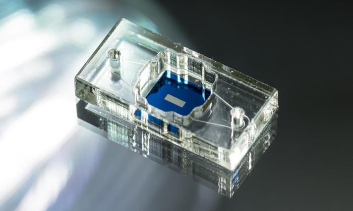 Low Res Fea Tissue Chips 2025 01 30 Mc Grath Chips 0010 1920x1152