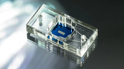 Low Res Fea Tissue Chips 2025 01 30 Mc Grath Chips 0010 1920x1152