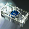 Low Res Fea Tissue Chips 2025 01 30 Mc Grath Chips 0010 1920x1152