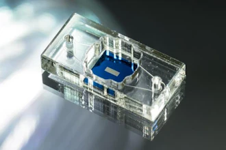 Low Res Fea Tissue Chips 2025 01 30 Mc Grath Chips 0010 1920x1152
