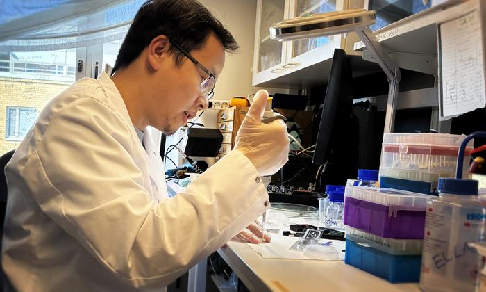 Xinxin Liu prepares a newly-fabricated nanopore membrane for evaluation. The new method simplifies production of large arrays of nanopores for sensing and analysis technologies used in medical research and, increasingly, in specialized clinics.