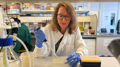 Senior author Professor Jennifer Rohn (UCL Division of Medicine) pipetting in her laboratory.
