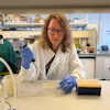 Senior author Professor Jennifer Rohn (UCL Division of Medicine) pipetting in her laboratory.
