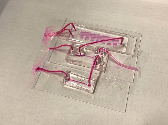 A sensor developed to continuously monitor the health of donated lungs prior to transplantation features a modular design of small glass slides.