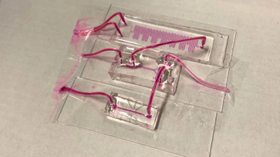 A sensor developed to continuously monitor the health of donated lungs prior to transplantation features a modular design of small glass slides.
