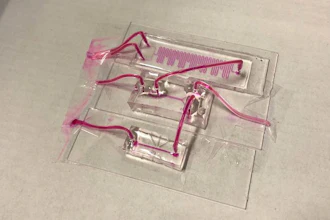 A sensor developed to continuously monitor the health of donated lungs prior to transplantation features a modular design of small glass slides.