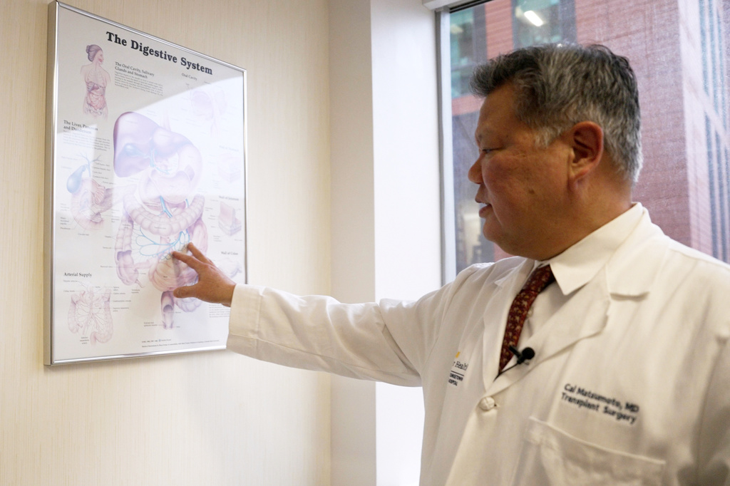 Medical professional in white coat pointing to digestive system anatomy chart during educational presentation