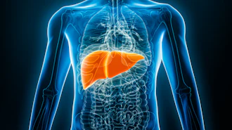 3D anatomical illustration of human torso with liver highlighted in orange against translucent blue skeleton and organ systems