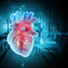Glowing anatomical heart illustration with transparent layers and heartbeat waveform on blue medical background