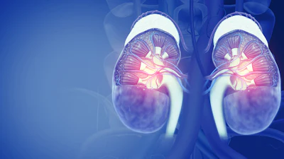 3D medical illustration of human kidneys with glowing internal structures on blue anatomical background