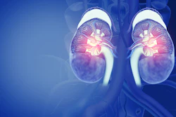 3D medical illustration of human kidneys with glowing internal structures on blue anatomical background