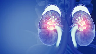 3D medical illustration of human kidneys with glowing internal structures on blue anatomical background