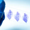 Three purple-stained histological tissue samples on a microscope slide held against light background