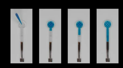 Four blue and white medical swabs or collection devices shown in progressive stages of assembly or use
