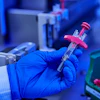 Gloved hand holding a syringe with pink plunger in laboratory setting