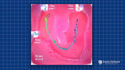 Microfluidic device schematic with labeled flow inlets and outlet on pink substrate with scale bar