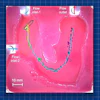 Microfluidic device schematic with labeled flow inlets and outlet on pink substrate with scale bar
