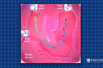 Microfluidic device schematic with labeled flow inlets and outlet on pink substrate with scale bar